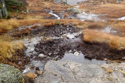 post-1073-0-39625800-1413961267_thumb.jp