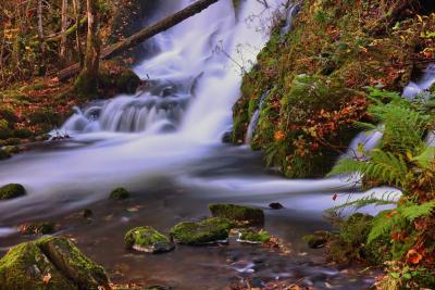 post-12793-0-19279200-1413113031_thumb.j