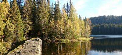 post-12803-0-63299900-1413122836_thumb.j