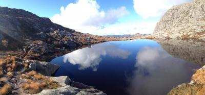 post-13206-0-00237700-1412540723_thumb.j