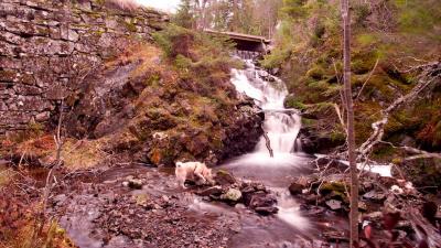 post-13572-0-15458100-1414268571_thumb.j