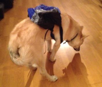 post-13572-0-75743000-1412969443_thumb.j