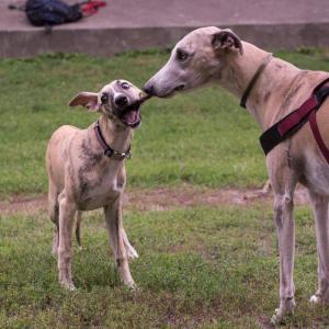 post-15428-0-68602300-1414131678_thumb.j