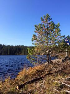 post-4444-0-01959400-1412599683_thumb.jp