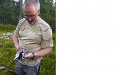 post-6295-0-88737300-1413578065_thumb.jp