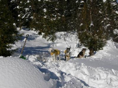 post-6663-0-26757700-1414123648_thumb.jp