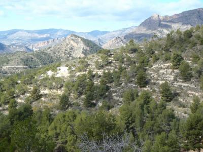 post-6671-0-59772400-1413884864_thumb.jp