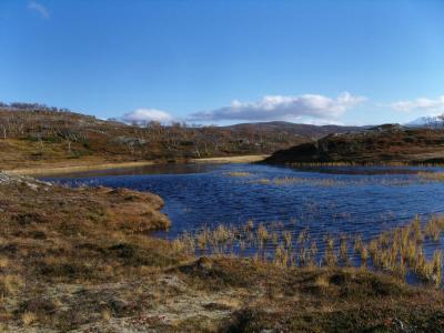 post-6789-0-90769200-1412713446_thumb.jp