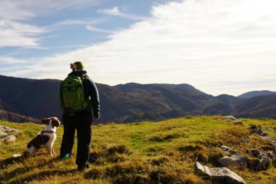 post-9033-0-72316400-1412727148_thumb.jp