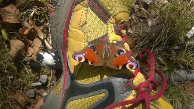 post-10468-0-33459900-1443809790_thumb.j