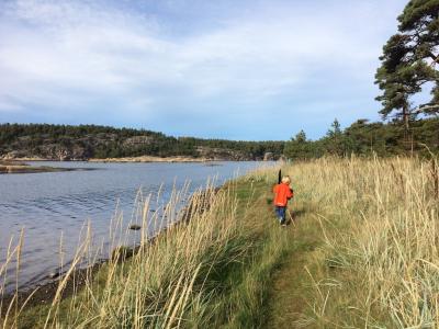 post-7901-0-34923500-1443904894_thumb.jp