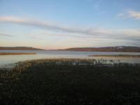 post-10047-0-24944400-1352849010_thumb.j