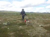 post-10047-0-33467700-1352849719_thumb.j