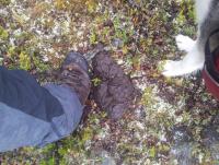 post-10047-0-64615400-1352849997_thumb.j