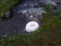 post-10047-0-85383300-1352849135_thumb.j