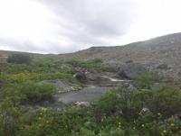 post-10047-0-86353300-1352849880_thumb.j