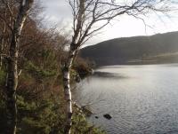 post-1073-0-19404500-1353275966_thumb.jp