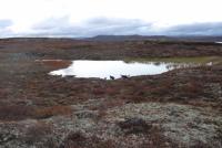 post-11179-0-45463500-1352038484_thumb.j