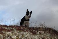 post-11179-0-73629500-1352038224_thumb.j