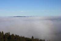 post-4639-0-70689400-1352848053_thumb.jp