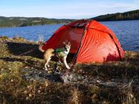 post-7709-0-71357400-1351880583_thumb.jp