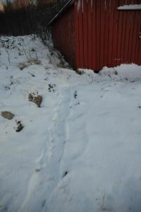 post-10401-0-58540200-1385039382_thumb.j