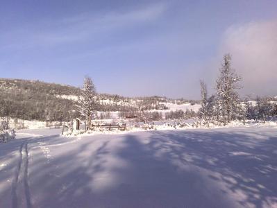 post-1047-0-57076800-1383679508_thumb.jp