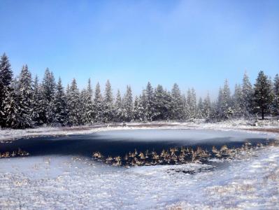 post-11521-0-26657300-1384863297_thumb.j