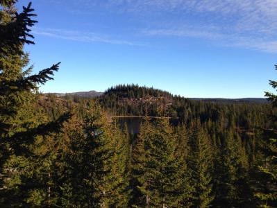 post-11521-0-59621800-1384862470_thumb.j