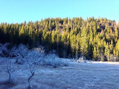 post-11521-0-83473600-1384862518_thumb.j