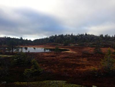 post-11521-0-88856400-1384861923_thumb.j