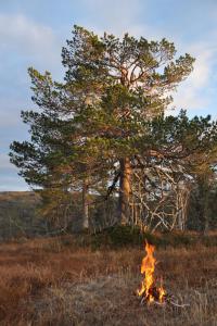 post-11925-0-39996900-1383411910_thumb.j