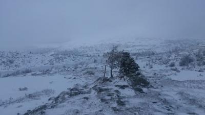 post-12082-0-42623300-1384722219_thumb.j