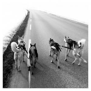 post-12621-0-01084000-1384097379_thumb.j