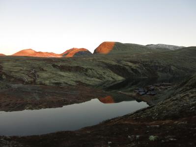 post-13206-0-00562100-1384001623_thumb.j