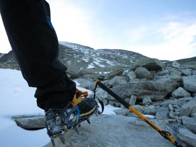 post-13206-0-04620600-1384026132_thumb.j