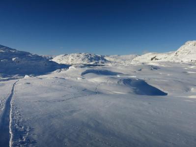 post-13206-0-12178200-1384118646_thumb.j