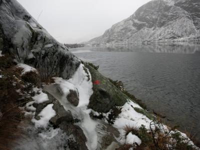 post-13206-0-14045000-1385313527_thumb.j