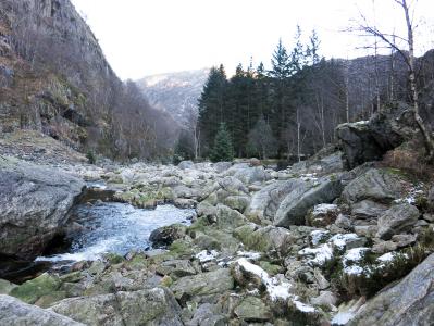 post-13206-0-14398000-1385314327_thumb.j