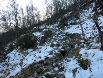 post-13206-0-20167200-1385314324_thumb.j