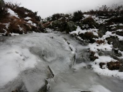 post-13206-0-41606000-1385313509_thumb.j