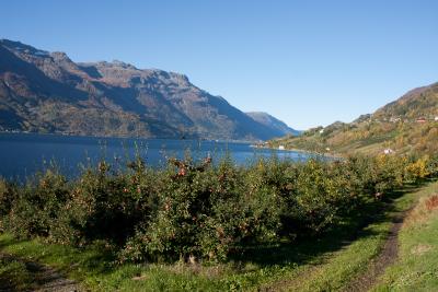 post-13206-0-43614700-1383999438_thumb.j