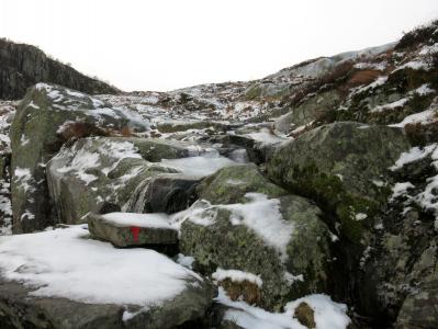 post-13206-0-43948600-1385313288_thumb.j