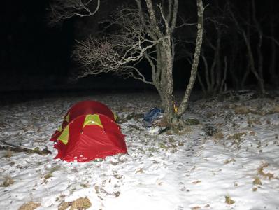 post-13206-0-48618000-1385313678_thumb.j