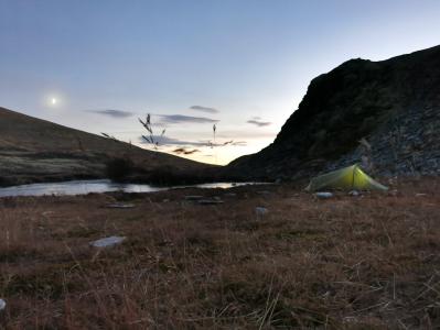 post-13206-0-54818200-1384001245_thumb.j