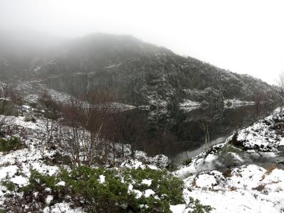 post-13206-0-61416400-1385313366_thumb.j