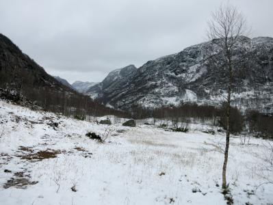 post-13206-0-75489200-1385313677_thumb.j