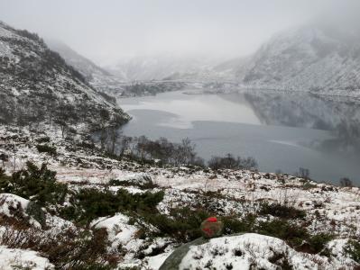 post-13206-0-89466700-1385313628_thumb.j