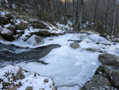 post-13206-0-90180600-1385314324_thumb.j