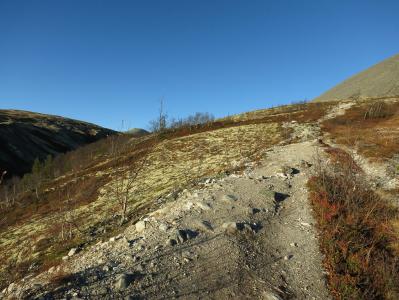 post-13206-0-98956100-1384026874_thumb.j